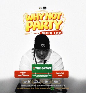 Why Not Party With Smur Lee